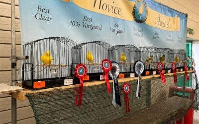 Show Results 2025